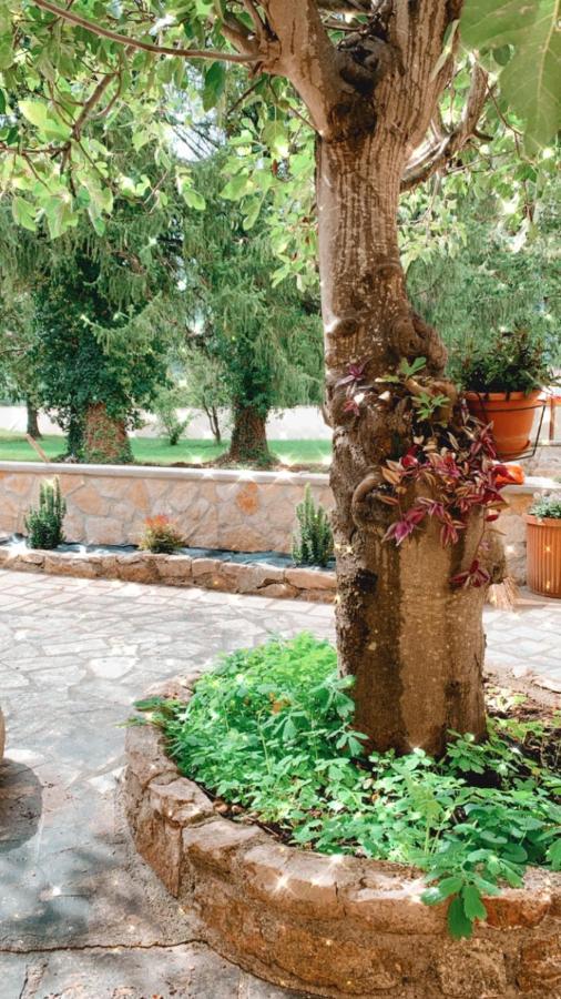 Residence Il Giardino Sul Fiume Nera Cerreto di Spoleto Eksteriør billede
